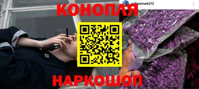 гидропоника Кулебаки